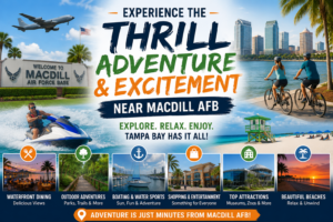 Things to do near MacDill AFB